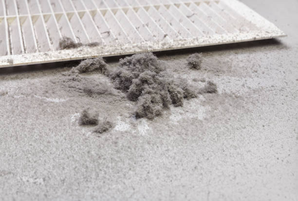 Best Best Air Duct Cleaning Near Me  in Wallington, NJ